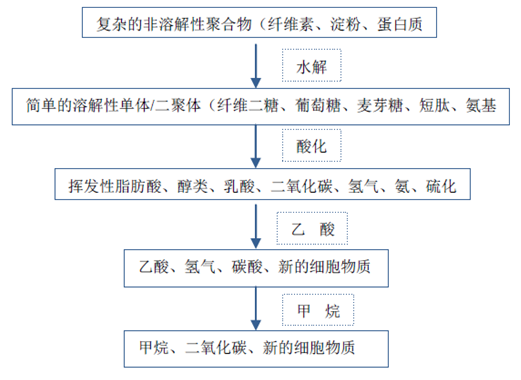 厭氧反應流程圖-華夏經(jīng)緯市場調查公司